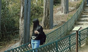 seleksi di ujung jaman transisi